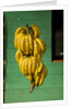 Bananas at a Fruit Stand in Dominican Republic by Anonymous