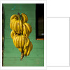 Bananas at a Fruit Stand in Dominican Republic by Anonymous