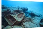 Toilet bowl resting on coral reef in Dominican Republic by Anonymous