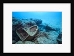 Toilet bowl resting on coral reef in Dominican Republic by Anonymous