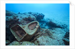 Toilet bowl resting on coral reef in Dominican Republic by Anonymous