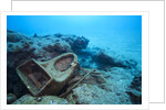 Toilet bowl resting on coral reef in Dominican Republic by Anonymous
