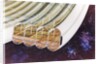 View of Bernal Sphere agricultural module (multiple toroids) with cutaway to expose interior by Anonymous