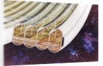 View of Bernal Sphere agricultural module (multiple toroids) with cutaway to expose interior by Anonymous