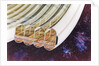 View of Bernal Sphere agricultural module (multiple toroids) with cutaway to expose interior by Anonymous