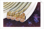 View of Bernal Sphere agricultural module (multiple toroids) with cutaway to expose interior by Anonymous