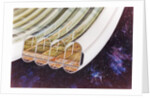 View of Bernal Sphere agricultural module (multiple toroids) with cutaway to expose interior by Anonymous
