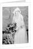 Bride in her wedding gown, ca. 1924 by Anonymous