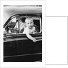 Young boy hangs out of driver's side car window, ca. 1954 by Anonymous