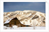 Steamboat Springs Ski Area and barn, Colorado by Anonymous