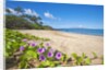 Palau'ea Beach, Maui, Hawaii by Anonymous