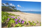 Palau'ea Beach, Maui, Hawaii by Anonymous