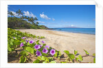 Palau'ea Beach, Maui, Hawaii by Anonymous