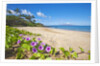 Palau'ea Beach, Maui, Hawaii by Anonymous