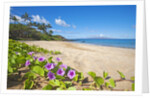 Palau'ea Beach, Maui, Hawaii by Anonymous
