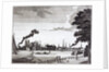 City of Westminster from the Surrey bank of the Thames by Anonymous