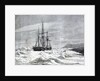 The Alert, nipped by the ice against the shore of Cape Beechey by Anonymous
