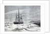 The Alert, nipped by the ice against the shore of Cape Beechey by Anonymous