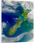 Turbid Waters Surround New Zealand by Anonymous