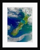 Turbid Waters Surround New Zealand by Anonymous