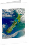 Turbid Waters Surround New Zealand by Anonymous