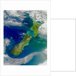 Turbid Waters Surround New Zealand by Anonymous