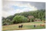 Holstein Cattle in a Field, Timmendorf, Germany by Hans Fredrik Gude