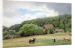 Holstein Cattle in a Field, Timmendorf, Germany by Hans Fredrik Gude