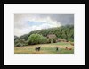 Holstein Cattle in a Field, Timmendorf, Germany by Hans Fredrik Gude