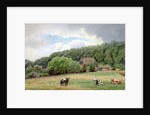 Holstein Cattle in a Field, Timmendorf, Germany by Hans Fredrik Gude