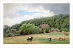 Holstein Cattle in a Field, Timmendorf, Germany by Hans Fredrik Gude