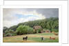 Holstein Cattle in a Field, Timmendorf, Germany by Hans Fredrik Gude