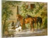 Horses at the Porch by Albrecht Adam