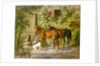 Horses at the Porch by Albrecht Adam