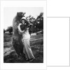 Woman embraces a stuffed bear, ca. 1940 by Anonymous