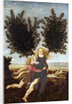 Apollo and Daphne by Antonio del Pollaiuolo