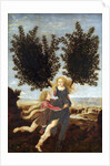 Apollo and Daphne by Antonio del Pollaiuolo