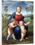 Madonna del Cardellino (Madonna of the Goldfinch) by Raphael