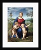 Madonna del Cardellino (Madonna of the Goldfinch) by Raphael