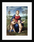 Madonna del Cardellino (Madonna of the Goldfinch) by Raphael