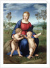 Madonna del Cardellino (Madonna of the Goldfinch) by Raphael