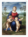 Madonna del Cardellino (Madonna of the Goldfinch) by Raphael