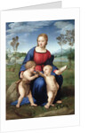 Madonna del Cardellino (Madonna of the Goldfinch) by Raphael