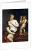 Venus and Cupid by Peter Paul Rubens