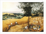 The Harvesters by Pieter Brueghel the Elder