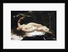 Woman with a Parrot by Gustave Courbet