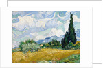 Wheat Field with Cypresses by Vincent Van Gogh