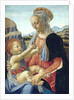 Virgin and Child by Andrea del Verrocchio