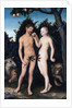 Adam and Eve in Paradise (The Fall) by Lucas Cranach the Elder