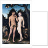 Adam and Eve in Paradise (The Fall) by Lucas Cranach the Elder